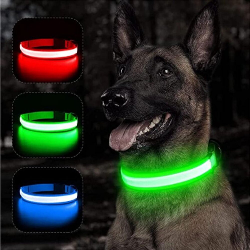 Reflective LED Light Puppy Collar Rechargeable Waterproof Glow in Dark Dog1 Pack